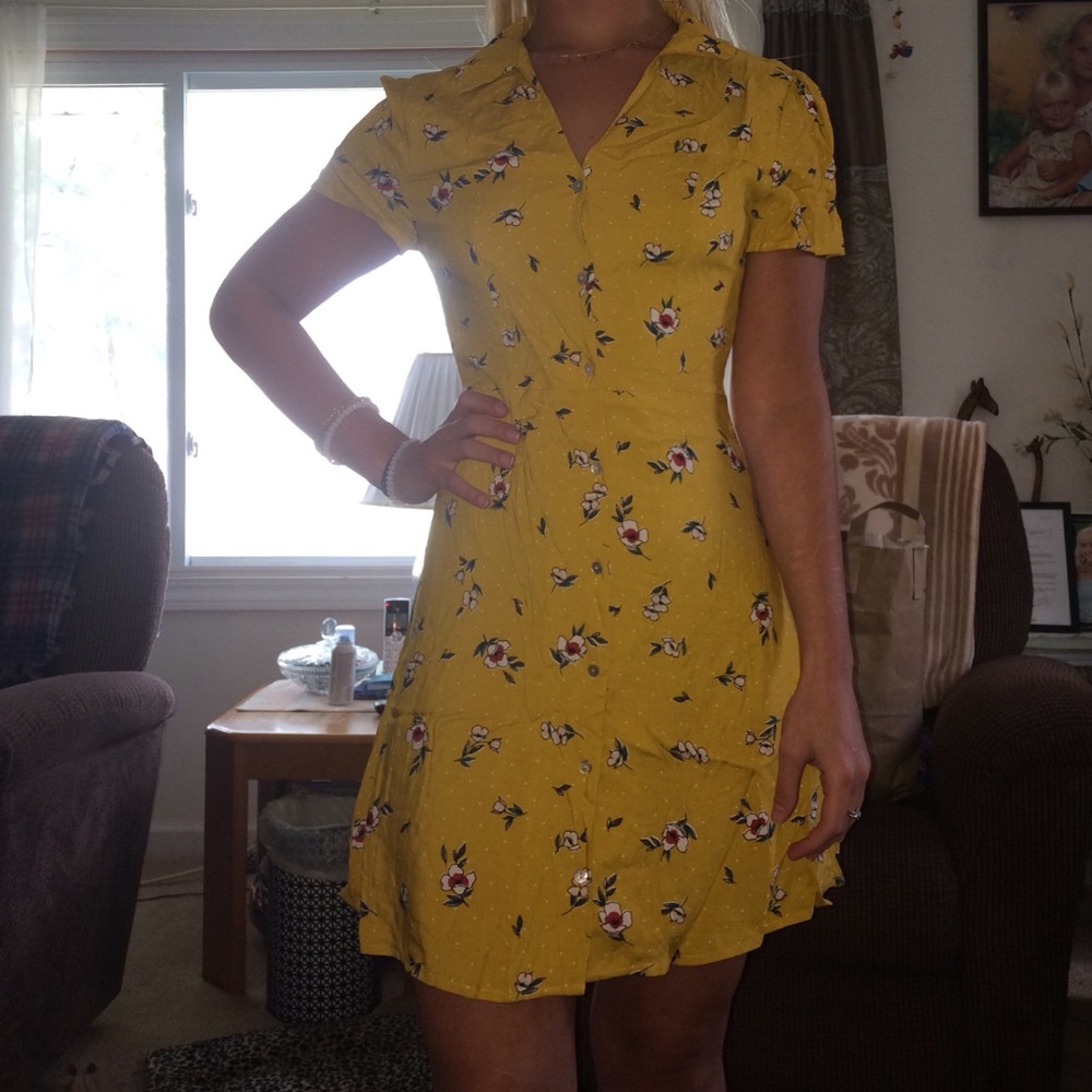 Francesca’s Dress
